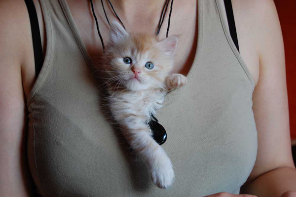 hier geht`s mir gut.jpg